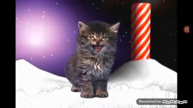 Песня котят про Рождество смотреть онлайн