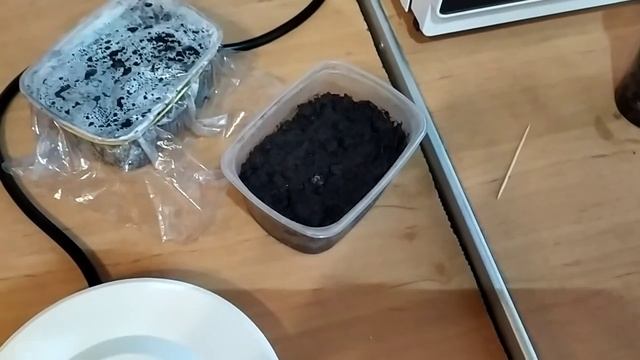 Когда не всходят семена, в чем причина! смотреть онлайн