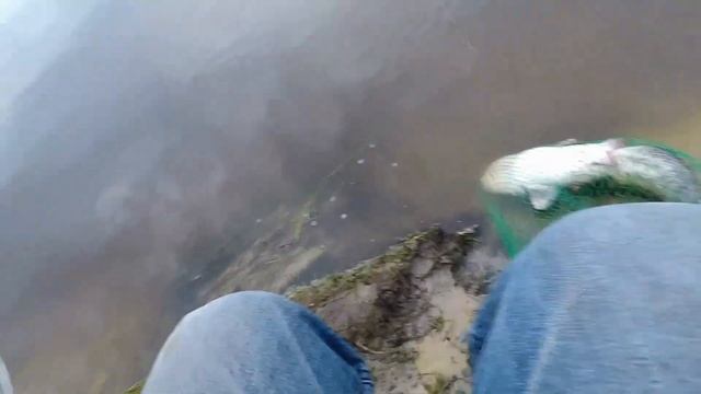Сом із БЕРЕГА, Десна смотреть онлайн