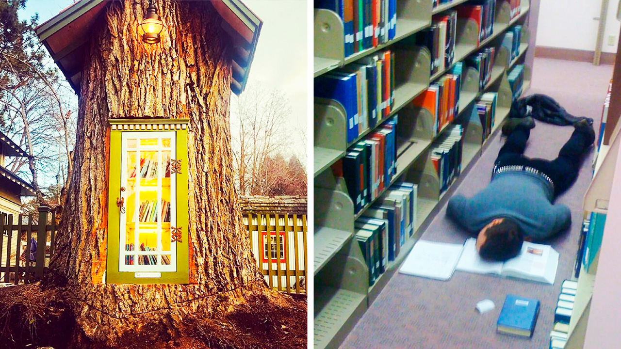 В библиотеке не ожидаешь такое увидеть смотреть онлайн