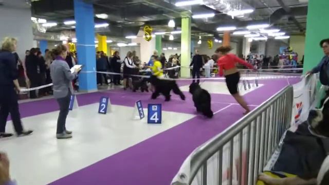 01.04.2018 моно рчт(экс.Инесса Паблака) смотреть онлайн