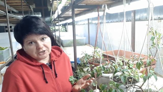 НЕБЛАГОДАРНОСТЬ "...растащили опыт по каналам и монетизируете!!!" смотреть онлайн