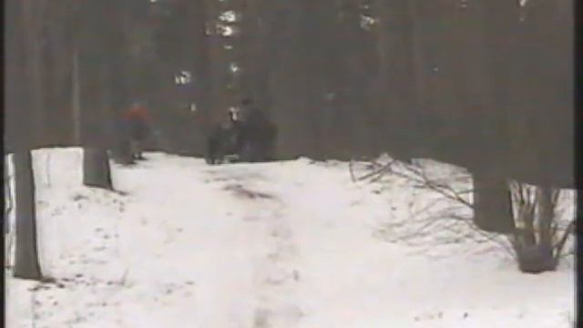 Санки - это круто! смотреть онлайн