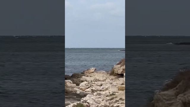 Калос Лимен - древнегреческий город в поселке Черноморское смотреть онлайн