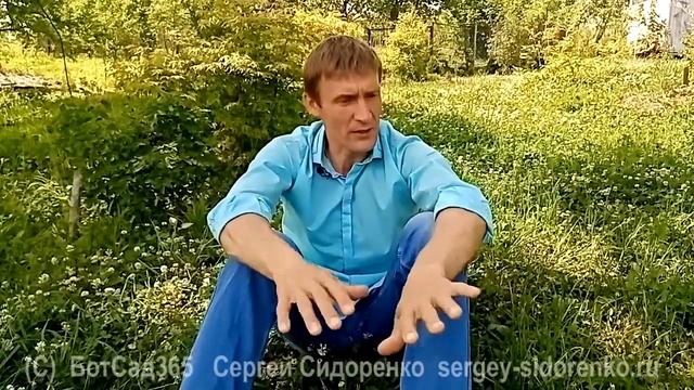Луговой газон - ЧАСТЬ 1 смотреть онлайн
