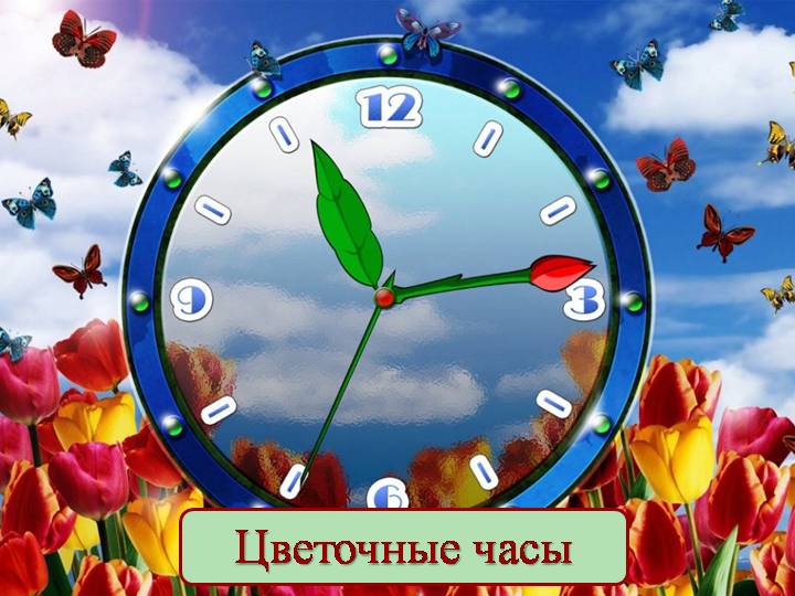 Алиса Орлова