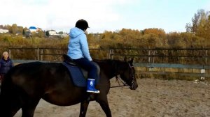 Моя первая тренировка по верховой езде ! ! !