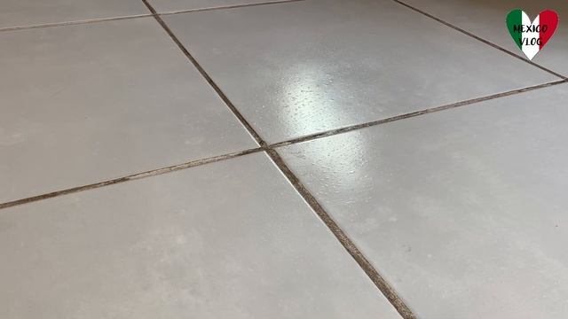 Karcher Steam Cleaner SC3 Review // Карчер паровой очиститель - обзор на русском языке