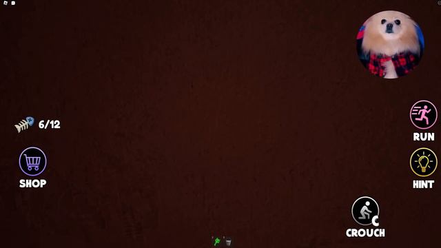 ПОБЕГ ОТ ГИГАНТСКОЙ ГОЛОВЫ КОТИКА В РОБЛОКС ! ESCAPE BLEH CAT! смотреть онлайн