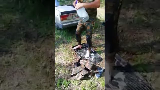как одевать костюм для подводной охоты. ч.1 смотреть онлайн