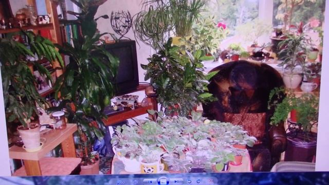 орбы - что это такое? смотреть онлайн