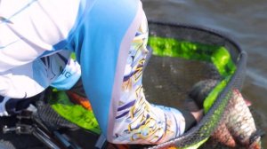 Рыбалка летом на Каме с лодки. Сорочьи горы. Судак