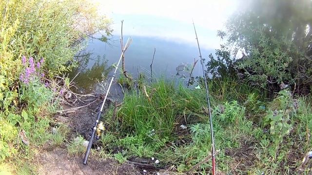 ДВЕ РЫБАЛКИ В ОДИН ДЕНЬ|ЛОВЛЯ КАРАСЯ И ЩУКИ|ДУБРОВКА и СЕЛО РУЗАЕВКА| смотреть онлайн