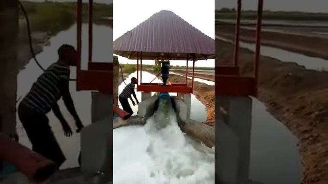 Feedback video on vertical axial flow pump for salty seawater, large flow higher efficiency pump смотреть онлайн