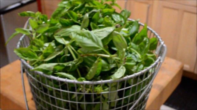 Harvesting Basil смотреть онлайн