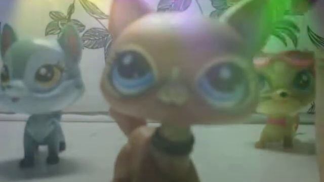 Модные журналы, глянцевые страницы смотреть онлайн