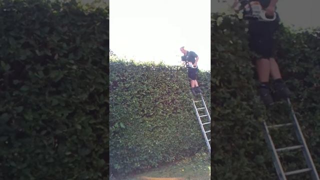 Stihl hs 45 hedge trimming смотреть онлайн