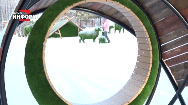 В Пыть-Яхе может появиться новый сенсорный парк! смотреть онлайн