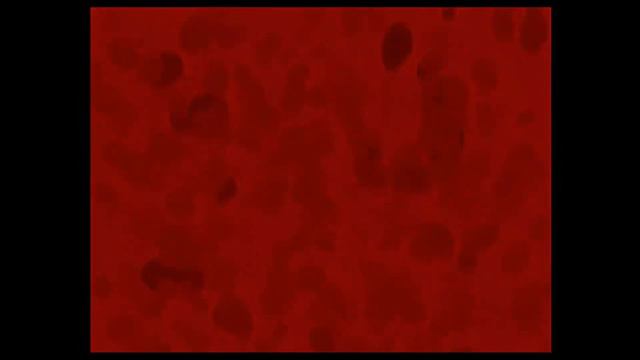 Michael Afton And Elizabeth Afton Is Turned Into Animatronics! (FNaF 4 Mods)