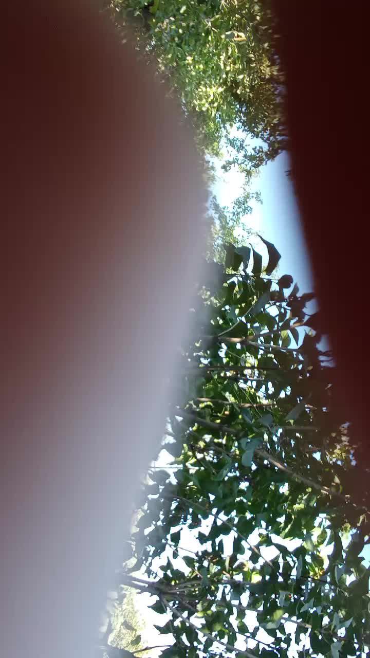 шо рвгшвщк и дома и на азщагс с уважением в