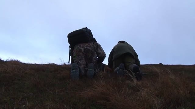 Охота на благородного оленя. Охотничьи приключения в Норвегии (Охотник и рыболов) смотреть онлайн