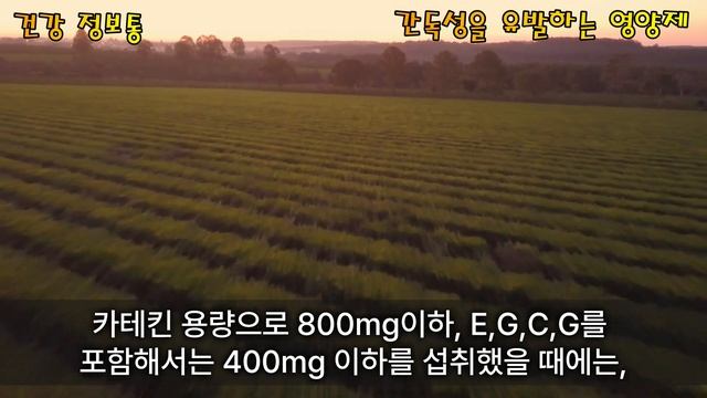 무심코 계속 섭취하다보면 건강에 독이 되는 영양제 가 있습니다 !! 간을 망가뜨리는 영양제!!오래 섭취하면 안되는 영양제!! смотреть онлайн
