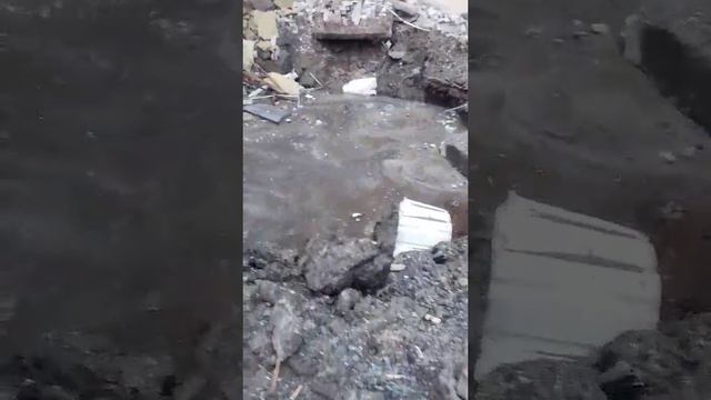 Теперь в доме новый выход сразу к Бендерке смотреть онлайн