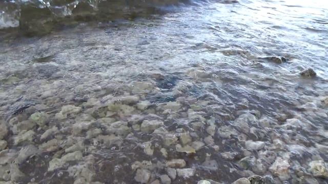 @25 Сокольи горы ч1/Печь завода Ротмана/Студеный овраг смотреть онлайн