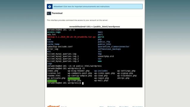 Change Files and Folders Permissions in cPanel смотреть онлайн