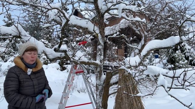 Защищаем растения от солнечных ожогов смотреть онлайн