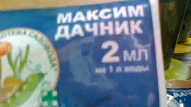 Препарат Максим- лучшее средство для лечения и профилактики почвенных инфекций смотреть онлайн