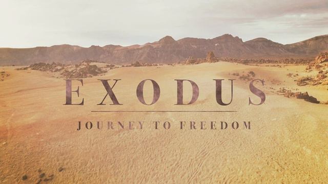 Break the Cycle смотреть онлайн