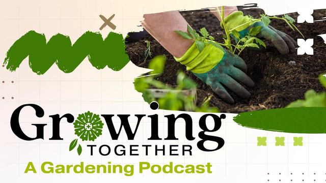 Some advice for planning the layout of your yard and garden смотреть онлайн