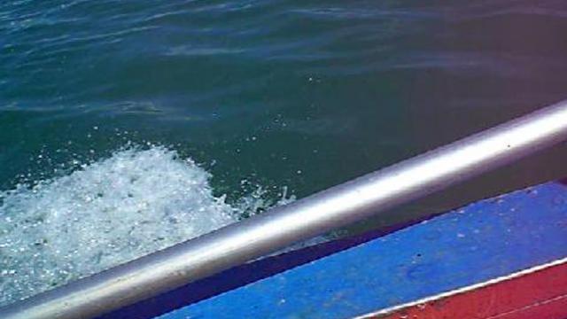 Рыбалка На Черном Море 1 смотреть онлайн