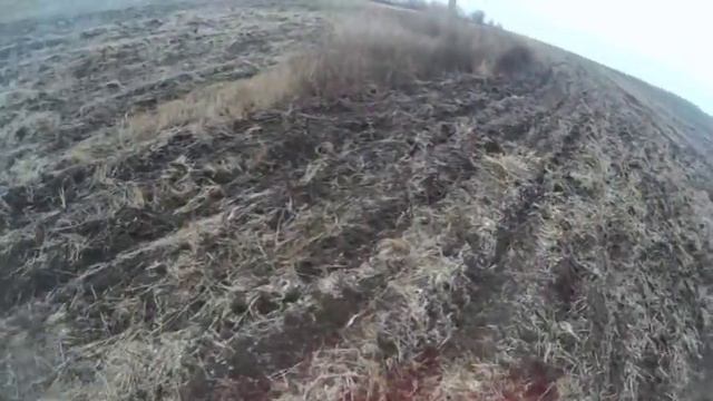 Супер охота на зайца по чернотропу. смотреть онлайн