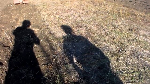 Подготовка почвы к посадке чеснока ,тонкости обработки после соломы. смотреть онлайн