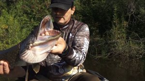 ✅⚡Рыбалка. Щука на перемёт (1)