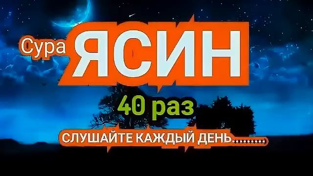 Сура Ясин 40 раз, От всех ваших проблем. На Всю Ночь. Красивое Чтение Корана смотреть онлайн