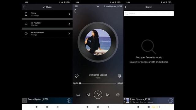 Настольный ЦАП C WiFi и Bluetooth 