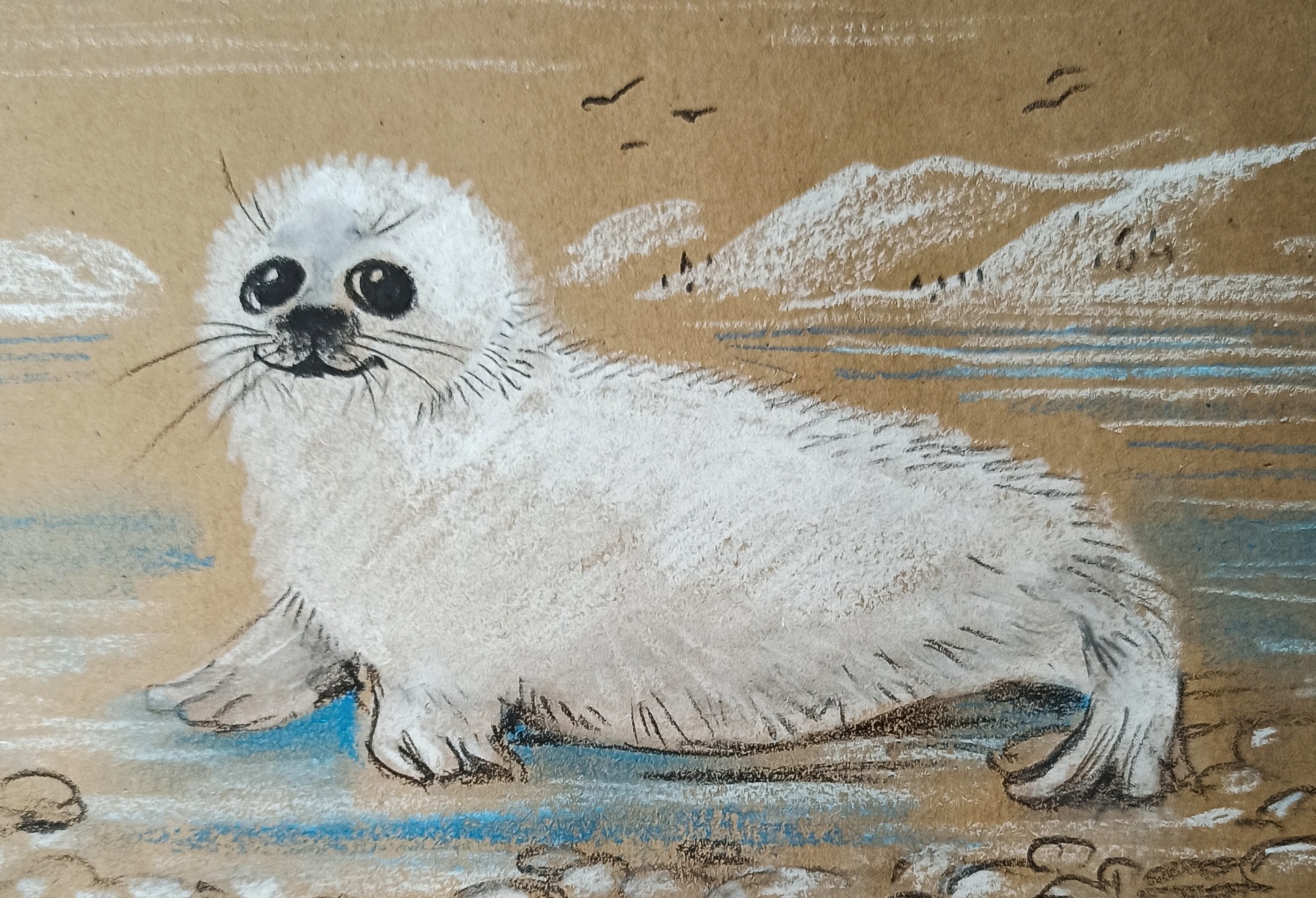 Как нарисовать детеныша морского котика пастелью. смотреть онлайн