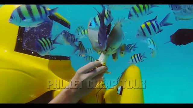 ПОДВОДНЫЕ МОТОЦИКЛЫ, Пхукет Таиланд | UNDERWATER SCOOTERS смотреть онлайн