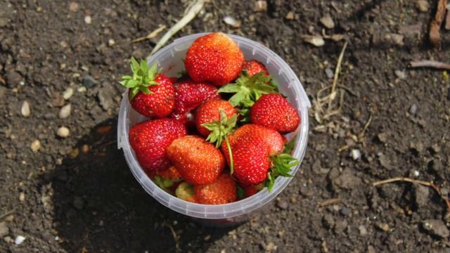 A Summer Sketch смотреть онлайн