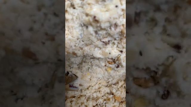 ANIA　永久凍土からカルノタウルスが出てきた　アニマルアドベエンチャー　　恐竜　ANIA смотреть онлайн