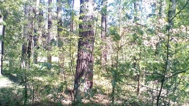 Христианские стихи с очень глубоким смыслом. смотреть онлайн