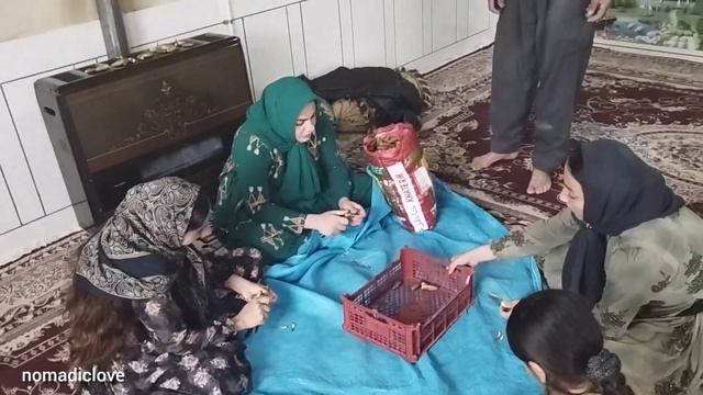 Nomadic Life: Khatun's Return To Her Father's House And Her Family's Hospitality To Her