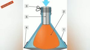 Механизм вдоха и выдоха + модель Дондерса