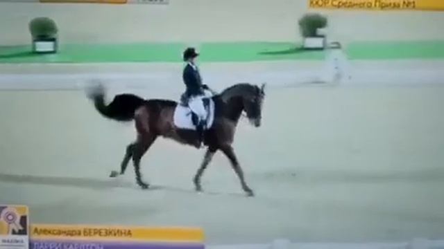 2020. Гимн спортшколы олимпийского резерва по конному спорту и современному пятиборью смотреть онлайн