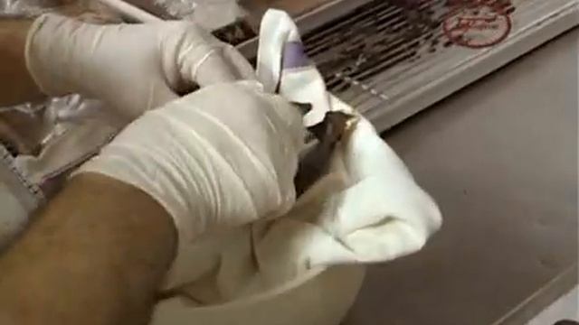 Pasticceria Tagliafico смотреть онлайн