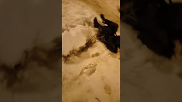 Как я иду после тренировки домой.?????? смотреть онлайн