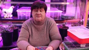 ЮЛИЯ МИНЯЕВА: КАКОЙ ПЕРЕЦ Я БУДУ СЕЯТЬ В 2021 году.